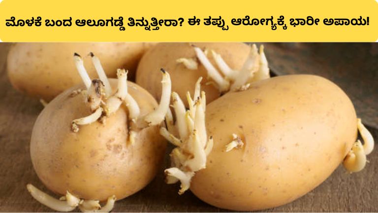 ಮೊಳಕೆ ಬಂದ ಆಲೂಗಡ್ಡೆ ತಿನ್ನುತ್ತೀರಾ?