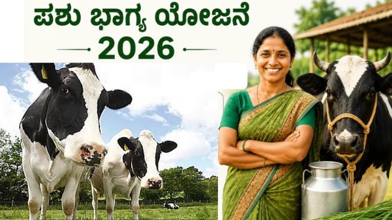 ಮಹಿಳೆಯರಿಗೆ ಭರ್ಜರಿ ಸಿಹಿಸುದ್ದಿ! ಹಸು-ಎಮ್ಮೆ ಖರೀದಿಗೆ ₹60,000 ವರೆಗೆ ಸಬ್ಸಿಡಿ, ಕೊಟ್ಟಿಗೆ ನಿರ್ಮಾಣಕ್ಕೆ ₹56,700 ಧನಸಹಾಯ