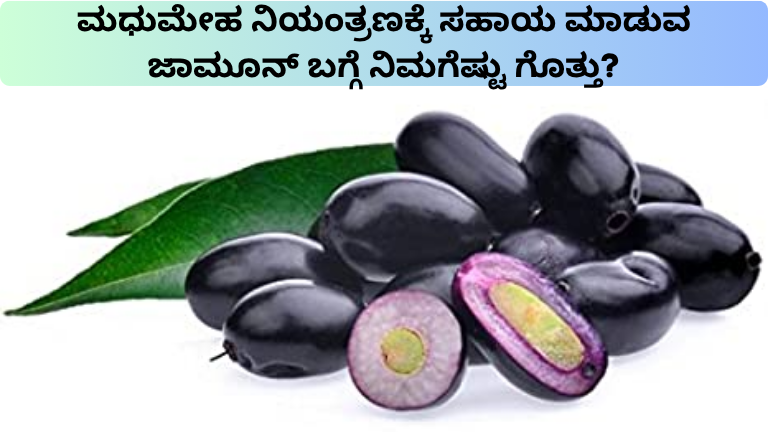 ಮಧುಮೇಹ ನಿಯಂತ್ರಣಕ್ಕೆ ಸಹಾಯ ಮಾಡುವ ಜಾಮೂನ್ ಬಗ್ಗೆ ನಿಮಗೆಷ್ಟು ಗೊತ್ತು